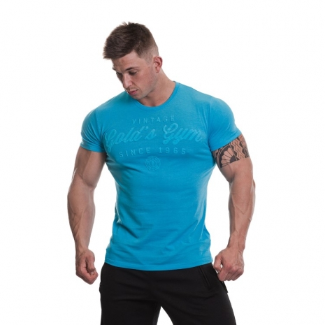Vintage Golds Gym T-Shirt Blue Marl